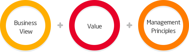 Business view, Value, Management Principles