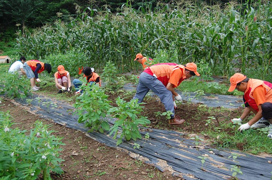 강원도시가스, “나눔의 동산” 농사 지원 활동
