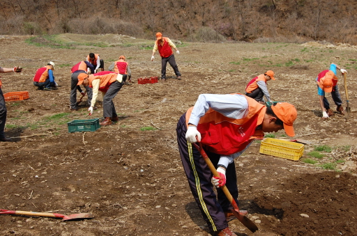 강원도시가스, 「나눔의 동산」 농사 지원 활동