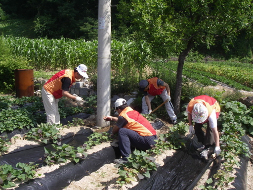 청주도시가스, '봉양사랑의 집' 자원봉사 (6/23)