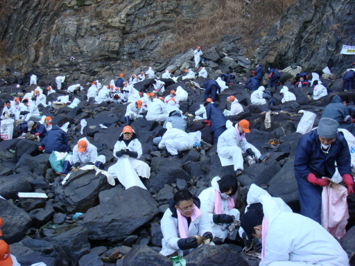 SK E&S, 태안 해양오염지역 자원봉사활동 실시 (12/27,12/28)