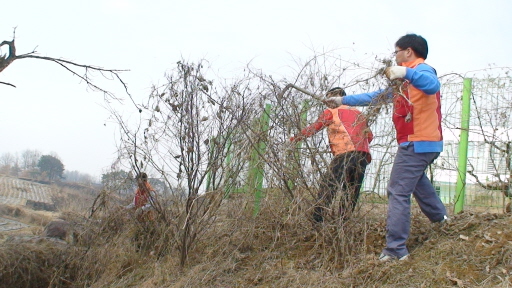 충청에너지서비스, 자원봉사활동(03/15)
