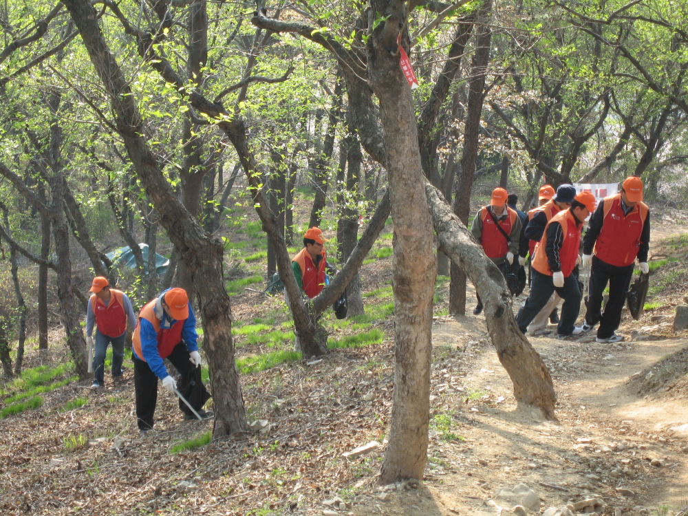 사고예방 및 환경정화 활동