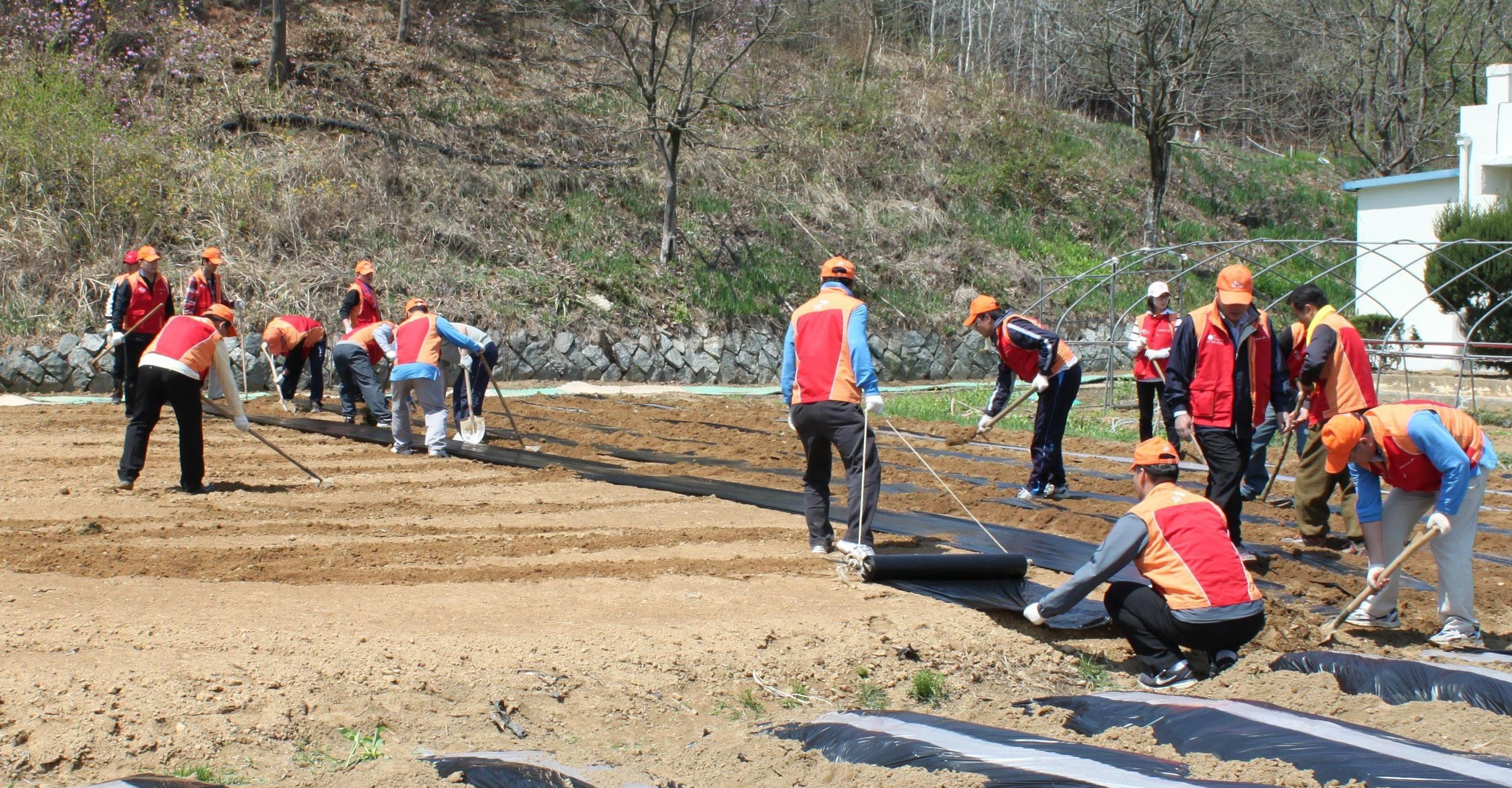 영남에너지서비스 근로자의 날 맞아 지역 봉사활동